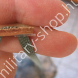 katonai gyakorló sapka kalap booney marpat desert woodland acu ucp dcu dpm ddpm flactarn booney sapka cap katonai bolt üzlet army shop army store military shop store in budapest katonai bolt budapest katonai gyakorló sapka kalap booney marpat desert woodland acu ucp dcu dpm ddpm flactarn booney sapka cap katonai bolt üzlet army shop army store military shop store in budapest katonai bolt budapest
