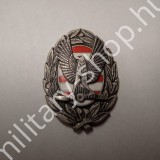 ÚJ4647 ,SZOLNOKI REPÜLŐTISZTI FŐISKOLA MELLKASJELZÉS ,FÉM , ÚJ