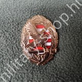 vezérkari akadémiamellkas fém jelzés magyar katonai ruházat felszerelés katonai bolt üzlet military shop army shop army store in budapest magyar katonai felvarrók deszantos ejtőernyős desszantos mellkas osztályjelzés deszantos ejtőernyős felvarró